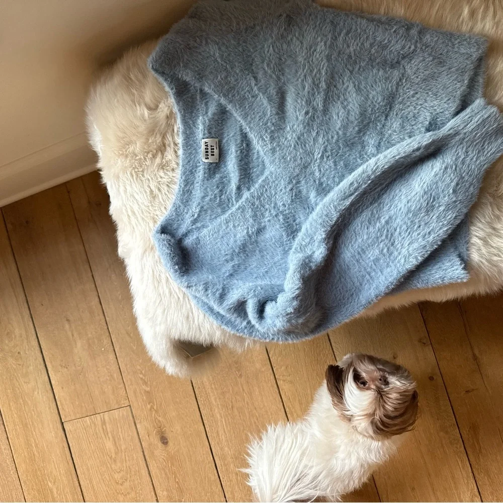 Aritzia Blue Fuzzy Sweater - Picture 7 of 8